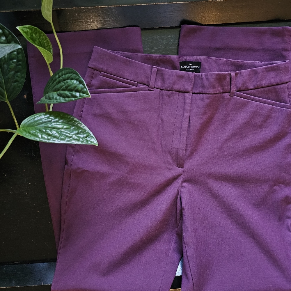 Purple WHBM Pant